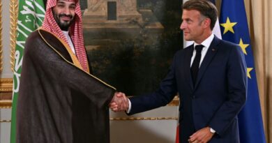 Saudi Arabia to invest $7 bn in theme parks near Paris: French presidency