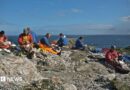 A group of hunters sitting on rocks at the top of a cliff, gutting and feathering gannets against a backdrop of blue sea and skies.