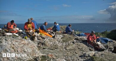 A group of hunters sitting on rocks at the top of a cliff, gutting and feathering gannets against a backdrop of blue sea and skies.