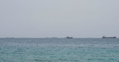 Shipping slows through Strait of Hormuz after tanker attacks, data shows