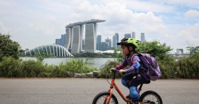 Singapore has overhauled its baby bonus scheme. Will it work to boost birth rates this time? | Fortune