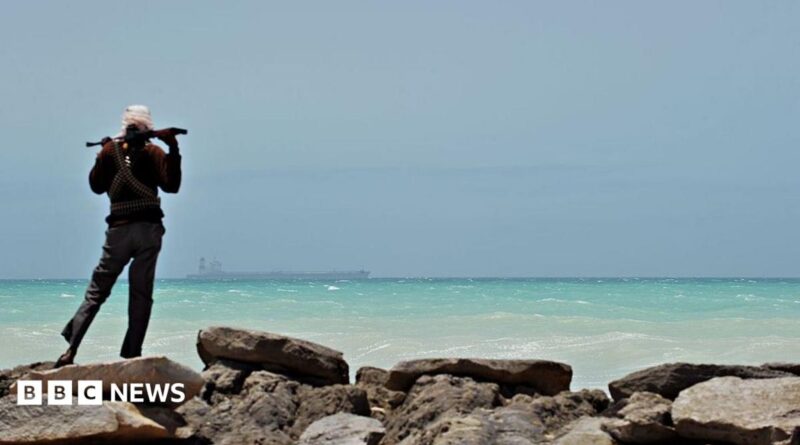A man - with his back to the camera - stands on some rocks to the left of the picture. Holding a gun across his shoulders, he is looking out to sea where a tanker is in the far distance.