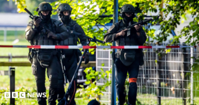 Three police officers in riot gear (helmet, bulletproof vest, knee and elbow protection) carrying guns patrol on the street, a police cordon is visible in the foreground