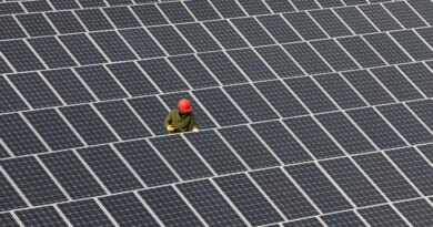 Man inspecting solar panels.