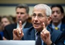 The Fauci Testimony And A Link To Oil And Gas