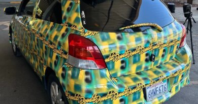 a photo of the toyota yaris covered in a pattern made by Bill Swearingen, as part of a test to see if it can defeat surveillance camera detection.