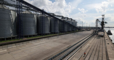 Turkey says it has Black Sea grain plan and is in contact with Russia, Ukraine