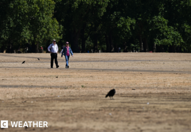 Two people walk along a scorched field in Hyde Park following a prolonged period of heat and little rainfall