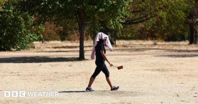 Person walking across a very dry and brown park with a towel over their head, providing shelter from the hot weather