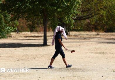 Person walking across a very dry and brown park with a towel over their head, providing shelter from the hot weather