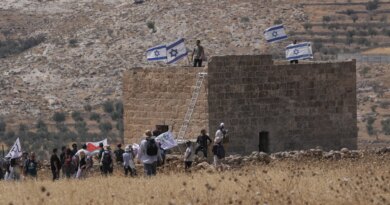 What could stop Israeli settler attacks on Palestinians?