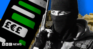 A composite image showing a stylised rendition of a phone with WhatsApp-style text message bubbles in grey and green, with one displaying currency symbols. On the right-hand side is an image of an IS militant with his face covered with a balaclava and carrying an assault rifle, with an image of war-torn Syria behind him.