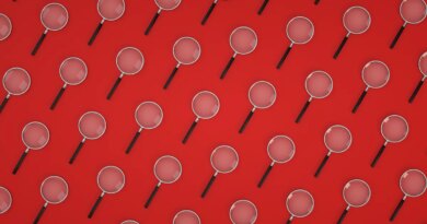 Who's behind the new ‘stealth model’ Ox Alpha? | TechCrunch