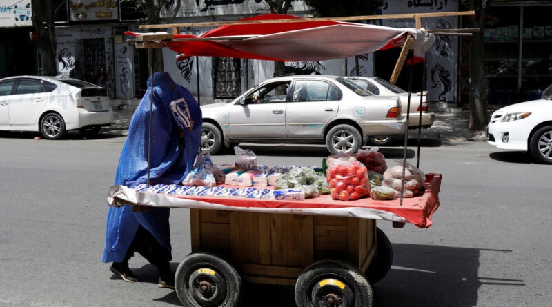 Women's share of Afghan labour market shrinks to 5% under Taliban, UN says