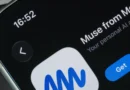 A YouTuber says this Muse setting led to the AI agent sharing his address: 'Be careful'
