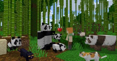 scene from Minecraft
