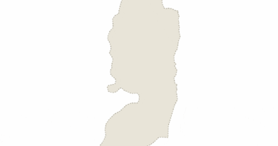 Animated map shows spread of illegal Israeli settlements across Palestine