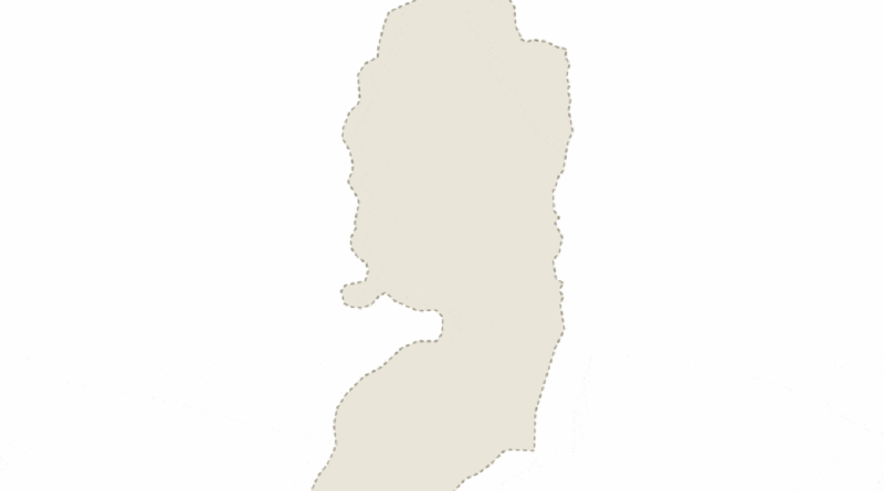 Animated map shows spread of illegal Israeli settlements across Palestine