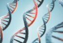 Anthropic is operating a lab that conducts biology experiments | TechCrunch