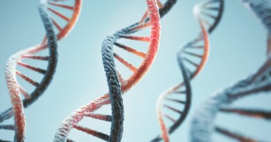 Anthropic is operating a lab that conducts biology experiments | TechCrunch