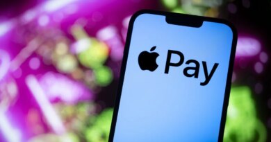The Apple Pay logo is seen in this photo illustration on 23 November, 2023