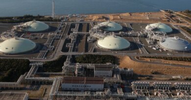 Asia looks to store oil, gas closer to home after Strait of Hormuz crisis