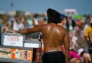 August hottest month ever recorded globally: EU monitor