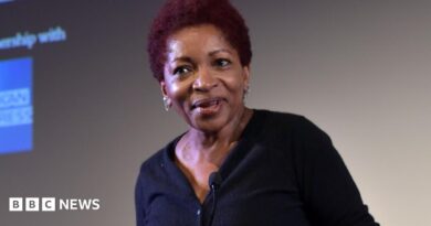 Bonnie Greer speaks on stage as she introduces "The Lost Man" as part of BFI Screen Epiphanies at the BFI Southbank in London in 2016