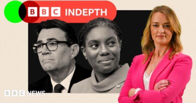 BBC InDepth
