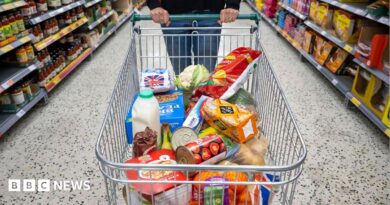 A supermarket trolley full of groceries