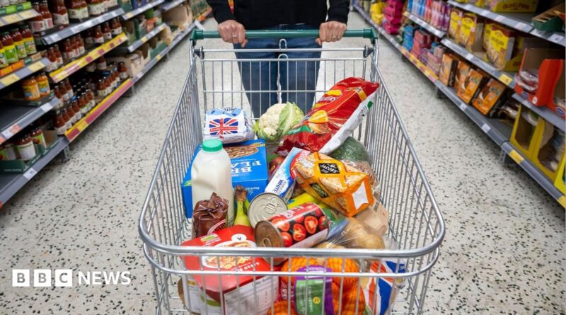 A supermarket trolley full of groceries