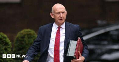 An image of John Healey from the waist up. He is walking and wearing a dark suit with a white shirt and red patterned tie. He is carrying a red folder. The background is blurred by you can see that he is outside from the outline of bushes.