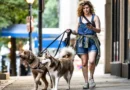 College-educated Americans and middle-income earners are increasingly leaning into the side hustle