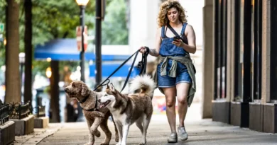 College-educated Americans and middle-income earners are increasingly leaning into the side hustle