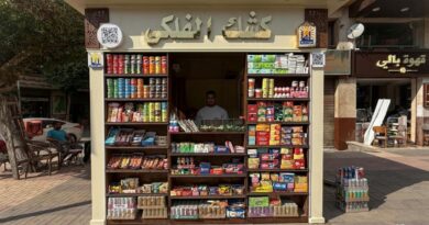 Costly overhaul fuels fears for Cairo's street kiosks