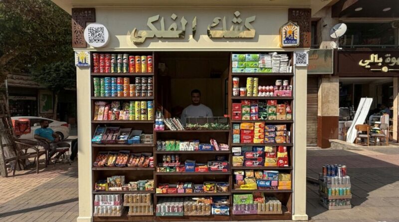 Costly overhaul fuels fears for Cairo's street kiosks