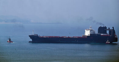 Could Iran's 7-day Hormuz proposal culminate in diplomatic deal?