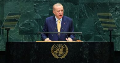 Court convicts Turkish comedian of insulting president but orders release, broadcaster says