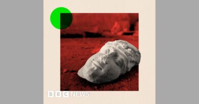 BBC InDepth