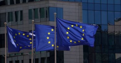 EU's Kallas says Red Sea mission needs more than 10 warships