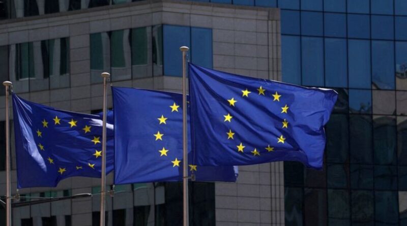 EU's Kallas says Red Sea mission needs more than 10 warships
