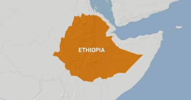 Ethiopian armed groups forge alliance against government