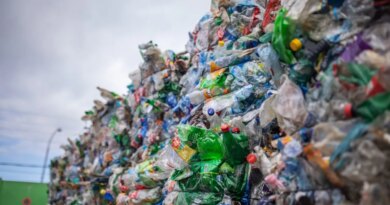 Plastic bottles are collected and packed in bales for recycling