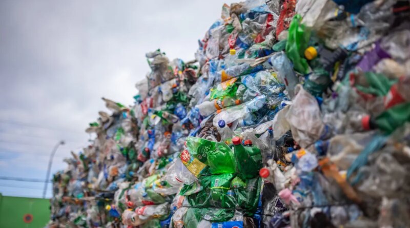 Plastic bottles are collected and packed in bales for recycling
