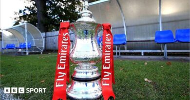 General view of the FA Cup trophy on display on the sideline at a qualifying round match in 2016