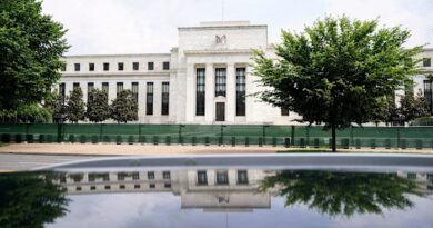 Fed should defy Donald Trump with rate rise, top economists say