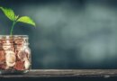 Investment Growth Concept