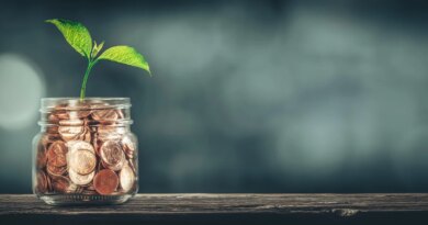 Investment Growth Concept