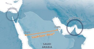 G7 leaders condemn Houthi strikes on Saudi Arabia