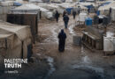 Gaza displacement camps have become breeding grounds for disease